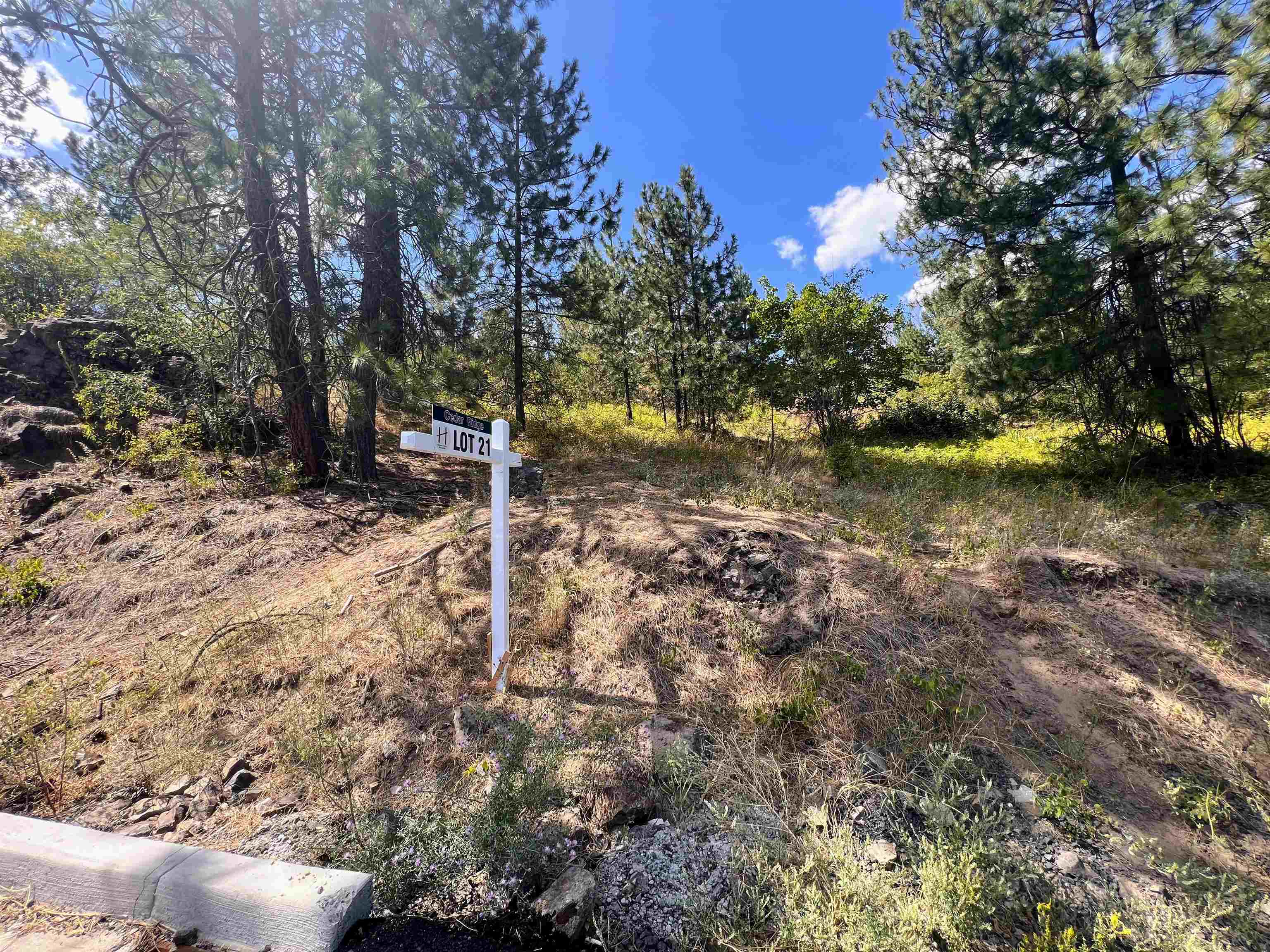 8XXX Jefferson Dr