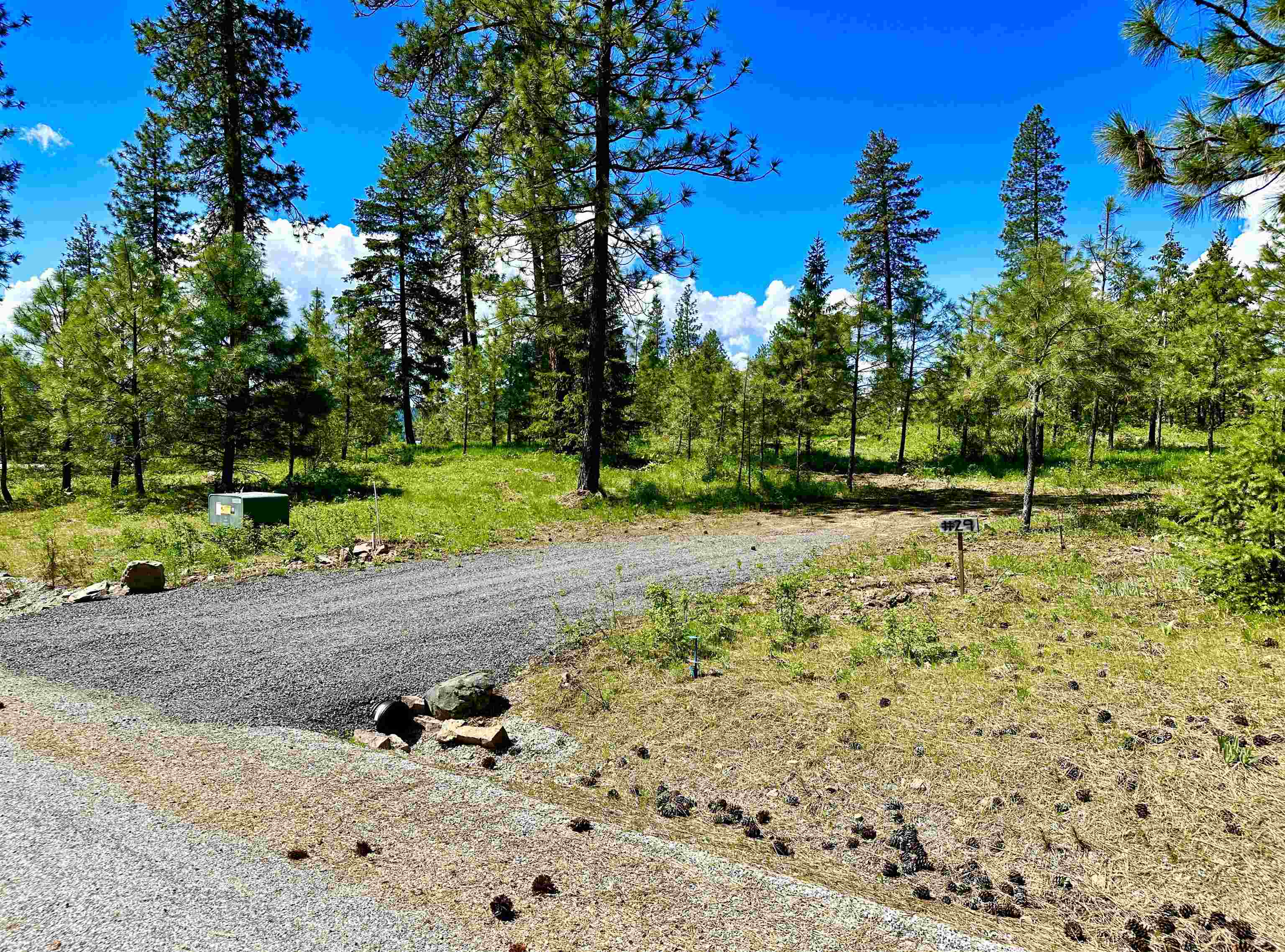 1649 Palmer Loop