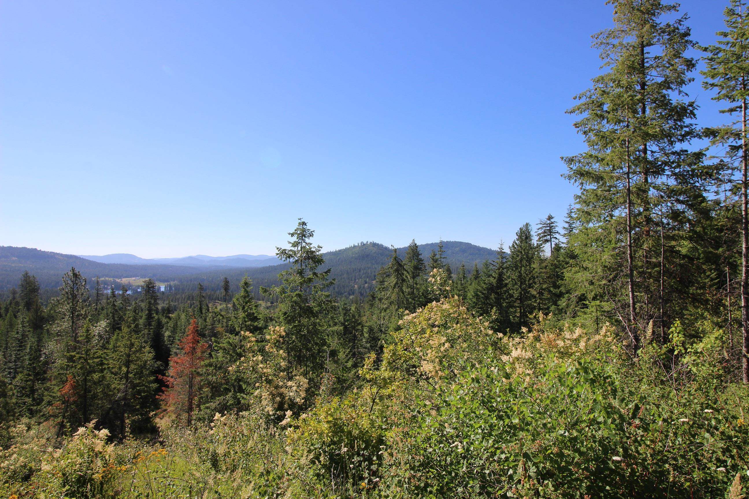 XXX Buck Creek Rd