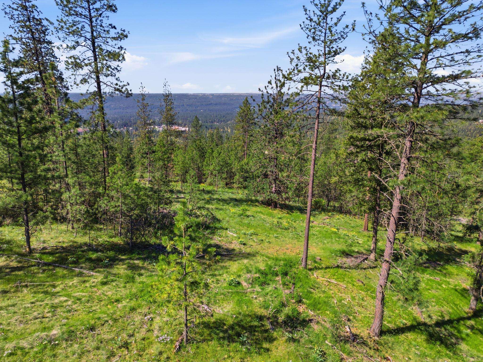 Land at NKA Weaver Way, Deer Park, WA