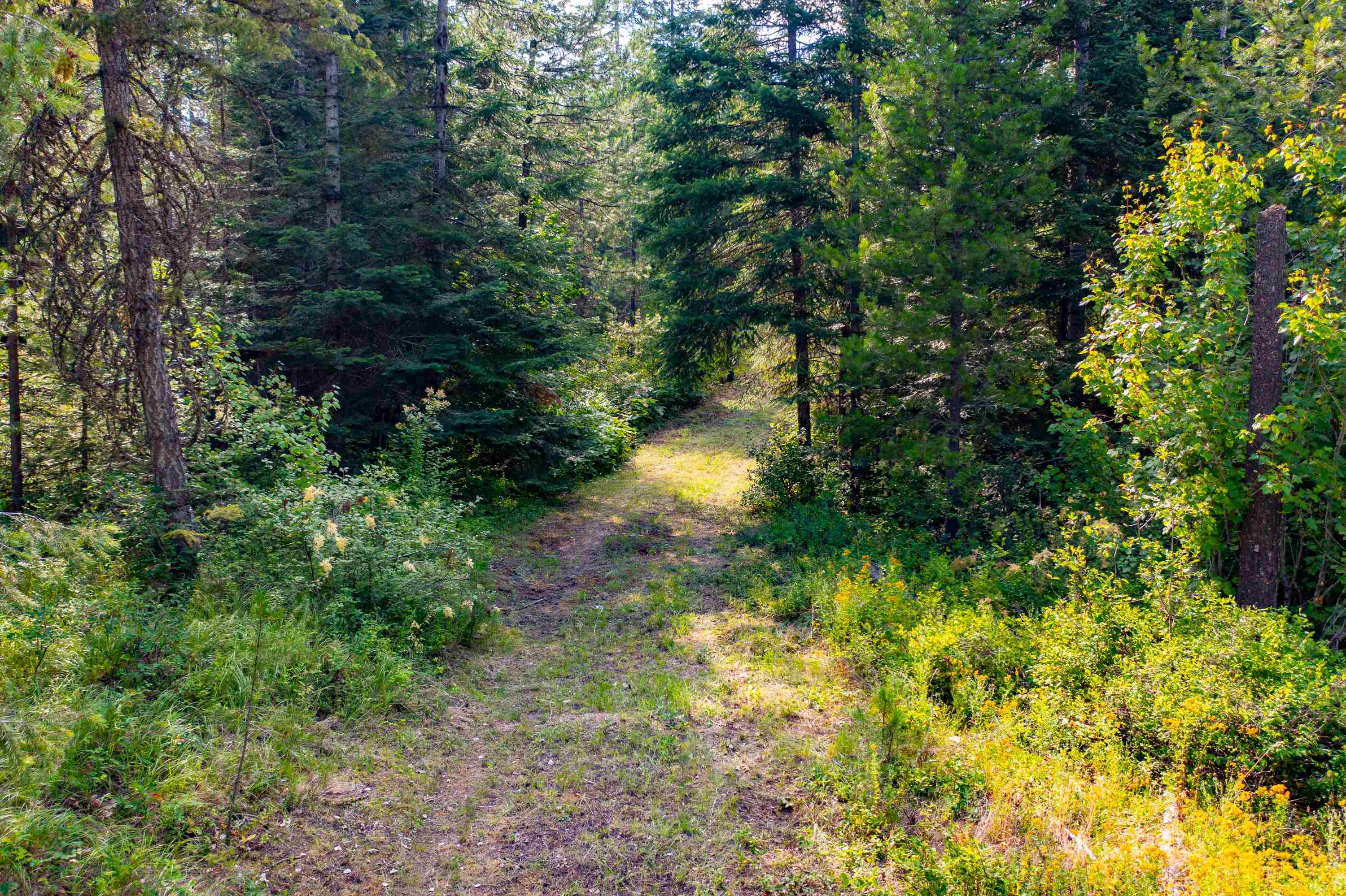 NKA Slate rd Lot 18 Rd